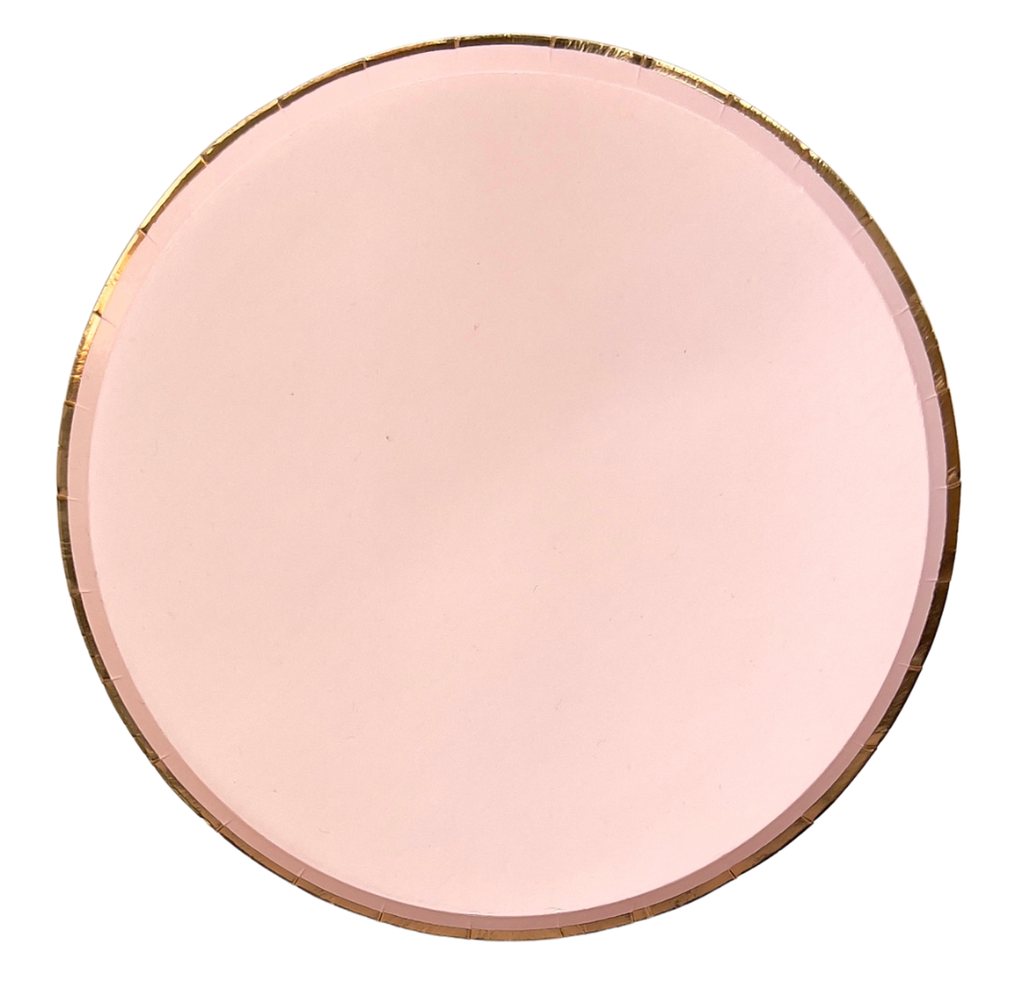 Lot de 10 assiettes rondes uni rose