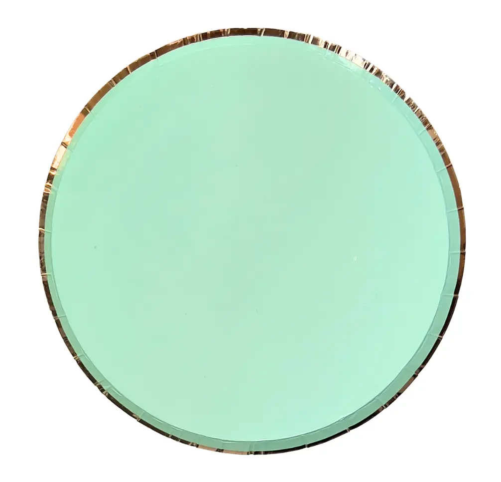 Lot de 10 assiettes rondes uni vert