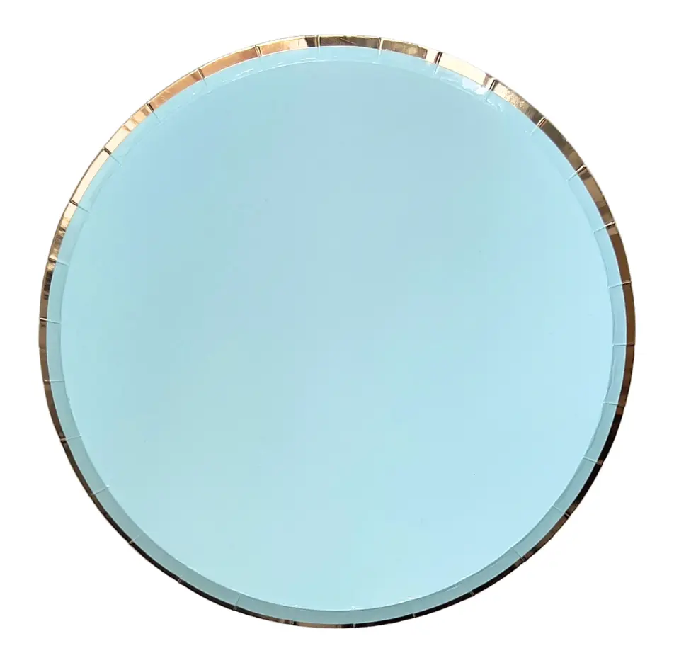 Lot de 10 assiettes rondes uni bleue