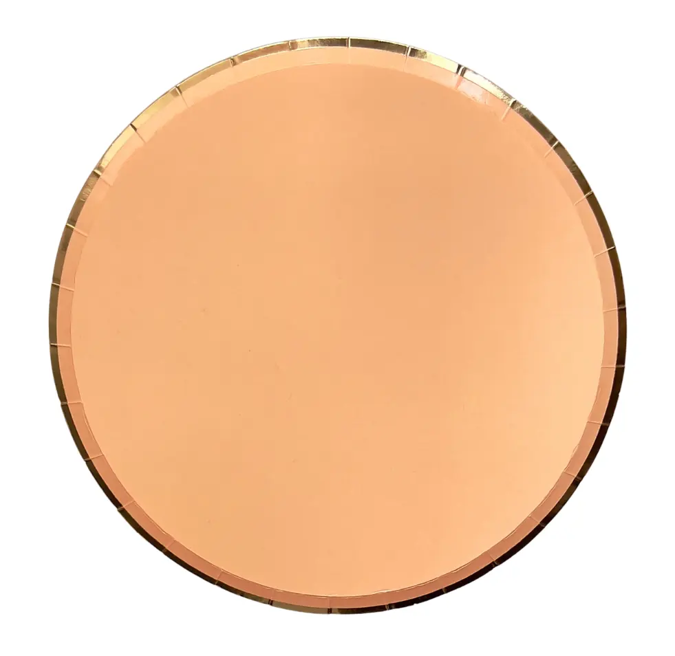 Lot de 10 assiettes rondes uni orange