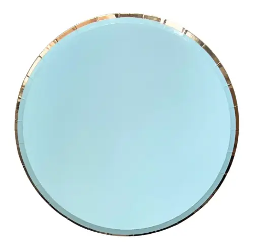 Lot de 10 assiettes rondes uni bleue